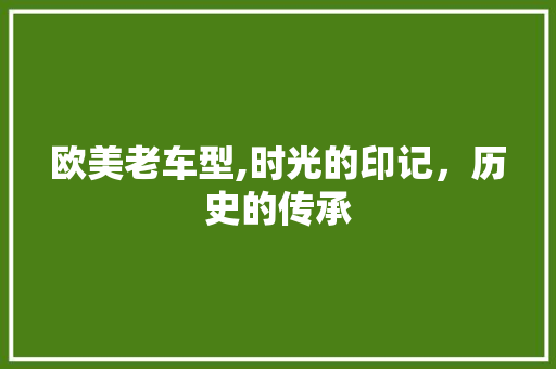 欧美老车型,时光的印记，历史的传承