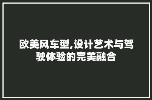 欧美风车型,设计艺术与驾驶体验的完美融合