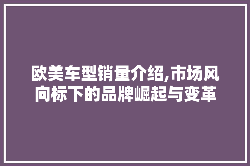欧美车型销量介绍,市场风向标下的品牌崛起与变革