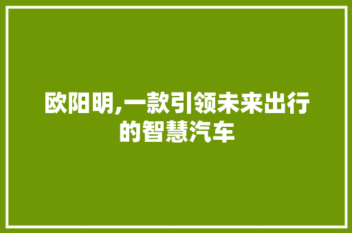 欧阳明,一款引领未来出行的智慧汽车