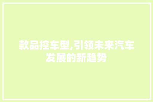 款品控车型,引领未来汽车发展的新趋势