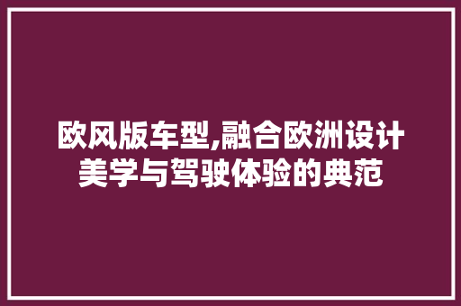 欧风版车型,融合欧洲设计美学与驾驶体验的典范