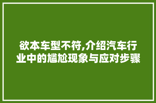欲本车型不符,介绍汽车行业中的尴尬现象与应对步骤