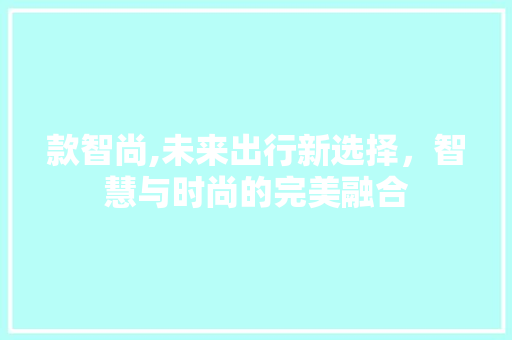 款智尚,未来出行新选择，智慧与时尚的完美融合
