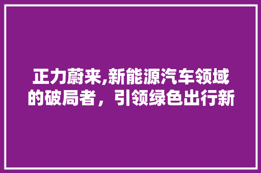 正力蔚来,新能源汽车领域的破局者，引领绿色出行新时代