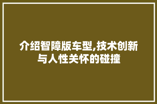介绍智障版车型,技术创新与人性关怀的碰撞