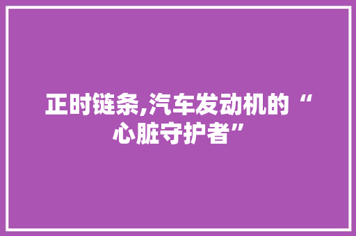 正时链条,汽车发动机的“心脏守护者”