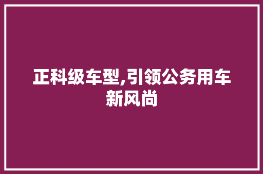 正科级车型,引领公务用车新风尚