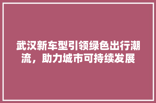 武汉新车型引领绿色出行潮流，助力城市可持续发展