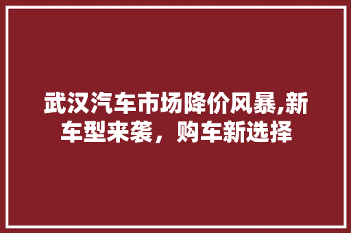 武汉汽车市场降价风暴,新车型来袭，购车新选择