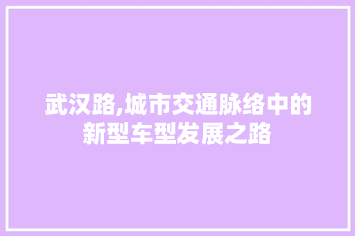 武汉路,城市交通脉络中的新型车型发展之路
