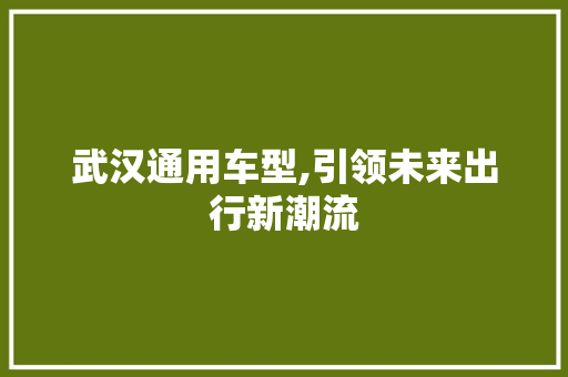 武汉通用车型,引领未来出行新潮流