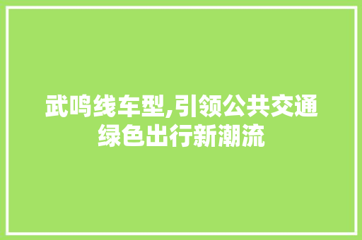 武鸣线车型,引领公共交通绿色出行新潮流