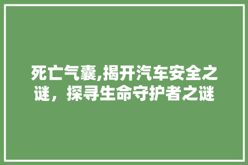 死亡气囊,揭开汽车安全之谜，探寻生命守护者之谜