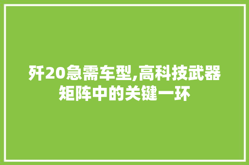 歼20急需车型,高科技武器矩阵中的关键一环