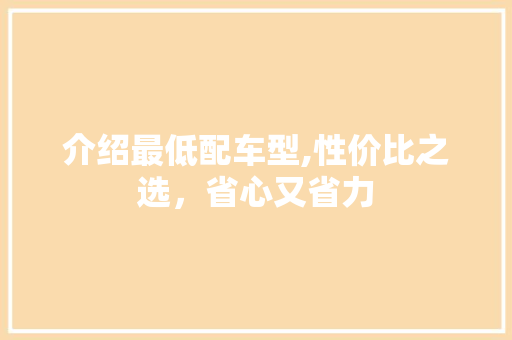介绍最低配车型,性价比之选，省心又省力