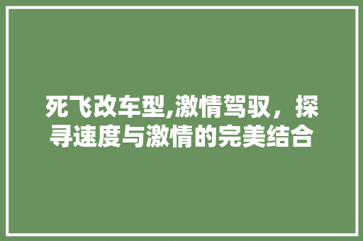 死飞改车型,激情驾驭，探寻速度与激情的完美结合