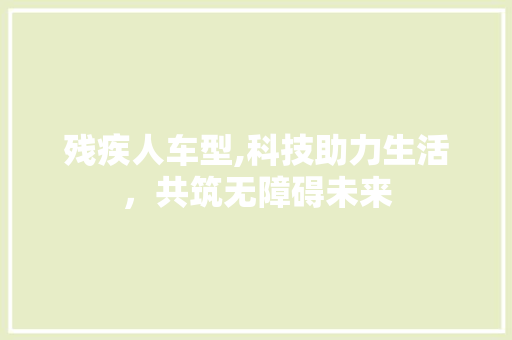 残疾人车型,科技助力生活，共筑无障碍未来