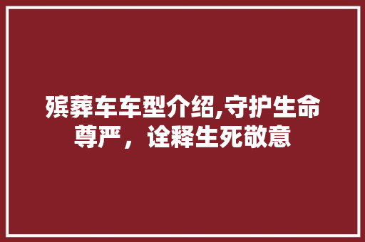 殡葬车车型介绍,守护生命尊严，诠释生死敬意