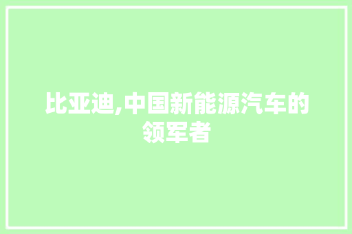 比亚迪,中国新能源汽车的领军者