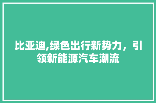 比亚迪,绿色出行新势力，引领新能源汽车潮流