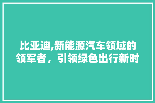 比亚迪,新能源汽车领域的领军者，引领绿色出行新时代