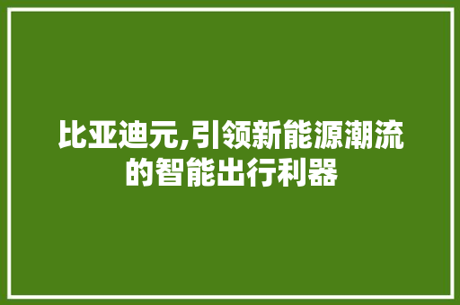 比亚迪元,引领新能源潮流的智能出行利器