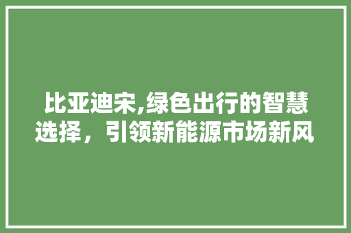 比亚迪宋,绿色出行的智慧选择，引领新能源市场新风尚
