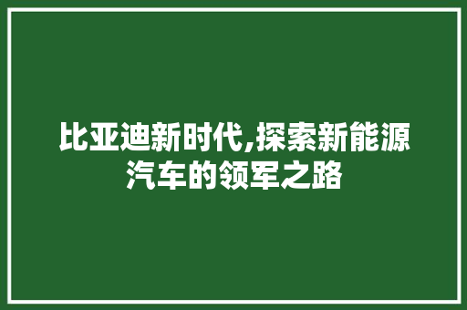 比亚迪新时代,探索新能源汽车的领军之路
