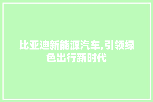 比亚迪新能源汽车,引领绿色出行新时代