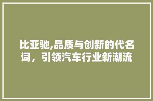 比亚驰,品质与创新的代名词，引领汽车行业新潮流