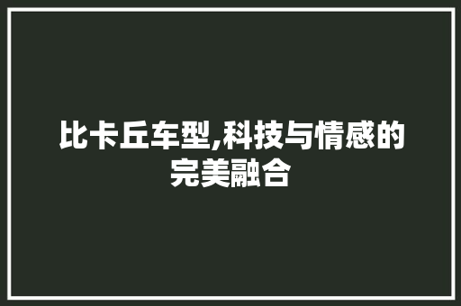 比卡丘车型,科技与情感的完美融合