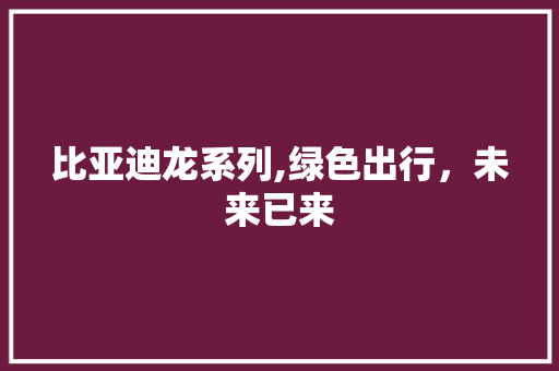 比亚迪龙系列,绿色出行，未来已来