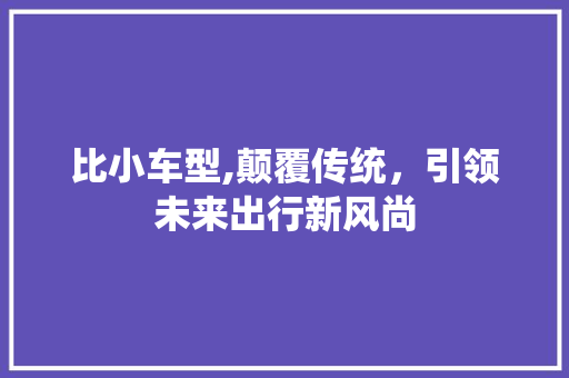 比小车型,颠覆传统，引领未来出行新风尚