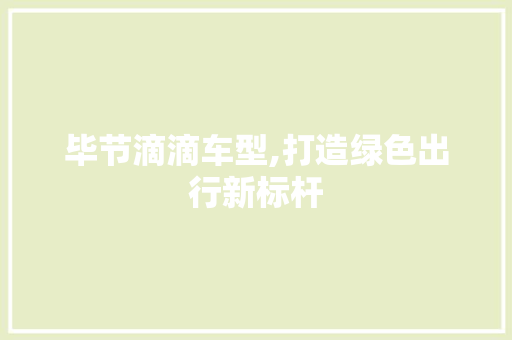 毕节滴滴车型,打造绿色出行新标杆