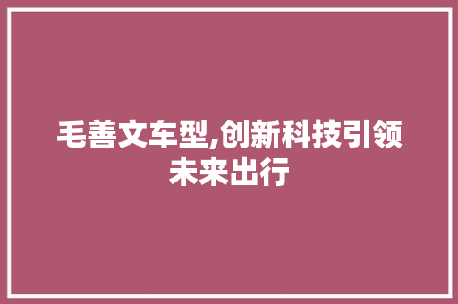 毛善文车型,创新科技引领未来出行