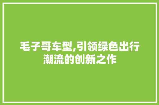 毛子哥车型,引领绿色出行潮流的创新之作 发动机配件