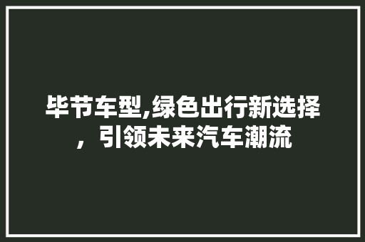 毕节车型,绿色出行新选择，引领未来汽车潮流