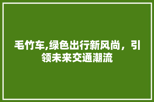 毛竹车,绿色出行新风尚，引领未来交通潮流