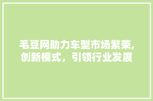 毛豆网助力车型市场繁荣,创新模式，引领行业发展