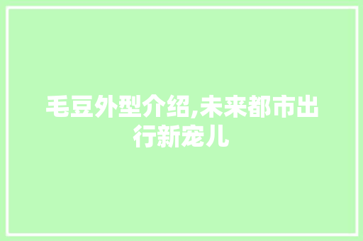 毛豆外型介绍,未来都市出行新宠儿