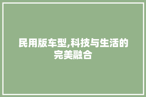 民用版车型,科技与生活的完美融合