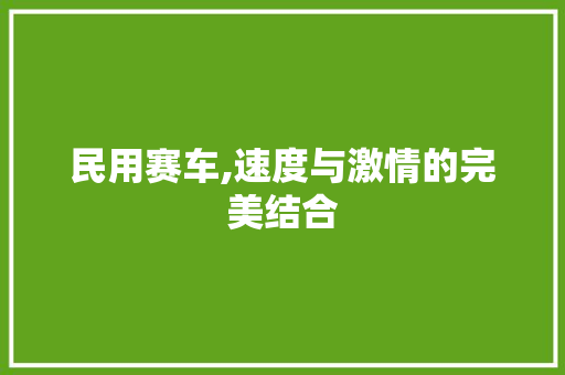 民用赛车,速度与激情的完美结合