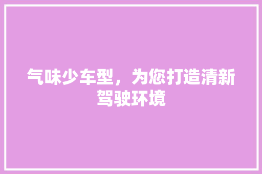 气味少车型，为您打造清新驾驶环境