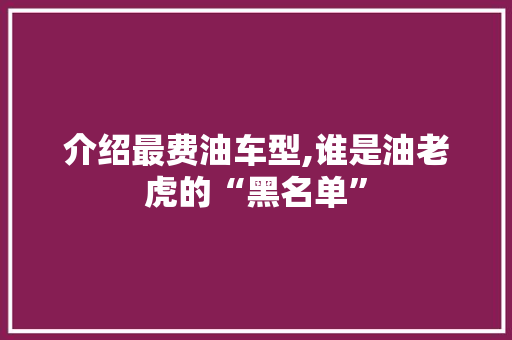 介绍最费油车型,谁是油老虎的“黑名单” 新款车型