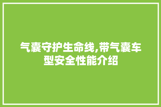 气囊守护生命线,带气囊车型安全性能介绍