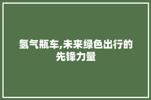 氢气瓶车,未来绿色出行的先锋力量