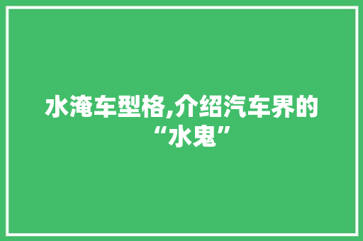 水淹车型格,介绍汽车界的“水鬼”