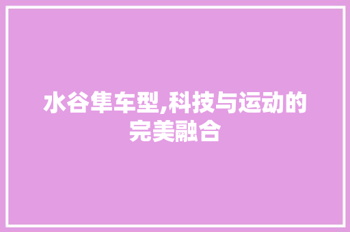 水谷隼车型,科技与运动的完美融合