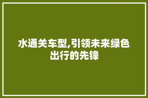 水通关车型,引领未来绿色出行的先锋